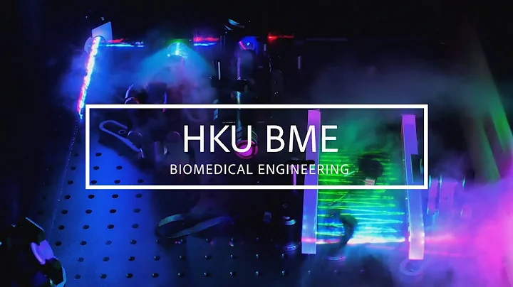 港大工學學士（生物醫學工程）課程簡介 - 天天要聞