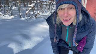Winter Tracking   SD 480p
