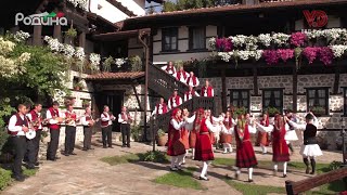 видео: картинка:
