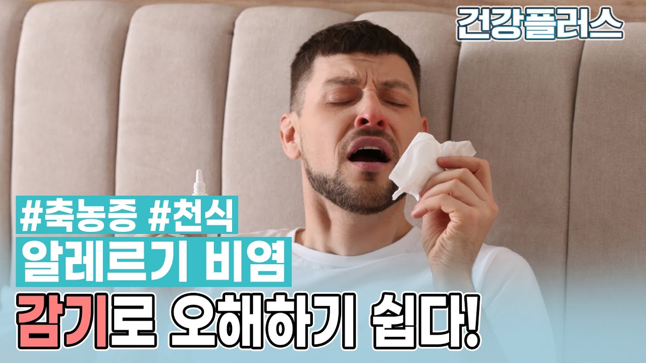 멈추지 않는 콧물과 재채기, 알레르기 비염의 증상? 원인과 진단, 검사 | 알레르기 비염 l 김준곤 을지대학교병원 이비인후과 교수