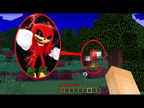 WAS MACHT KNUCKLES NACHTS IM WALD IN MINECRAFT