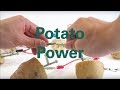 Potato power