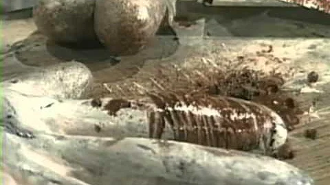 Paul McCarthy: "Painter" (1995)