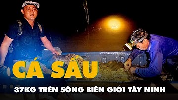 Bắt con cá sấu 37kg trên sông biên giới Tây Ninh, dân chuyển cho đồn biên phòng