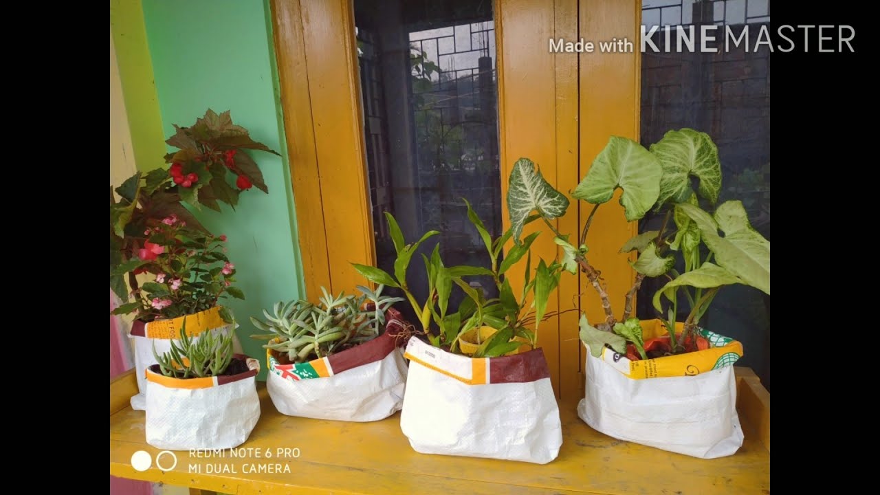 DIY flower pots. Reusing rice bag as planter pots shalu vlogs