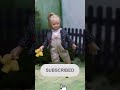 This Doll Does WHAT?! #shorts #amazing