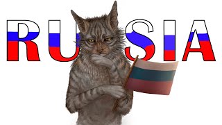 КОТЫ-ВОИТЕЛИ НО ЭТО РОССИЯ