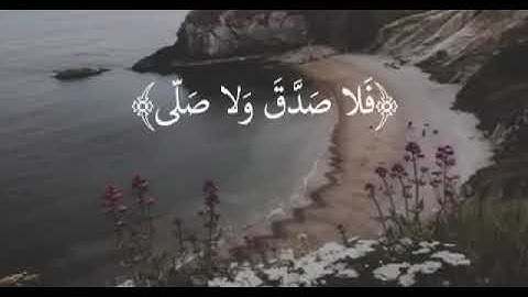 قرآن كريم بصوت القارئ الشيخ ماهر المعيقلي || حالات واتس اب || قرآن كريم ❤❤