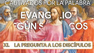 XI. Y VOSOTROS, ¿QUIÉN DECÍS QUE SOY YO? | Evangelio según san Marcos