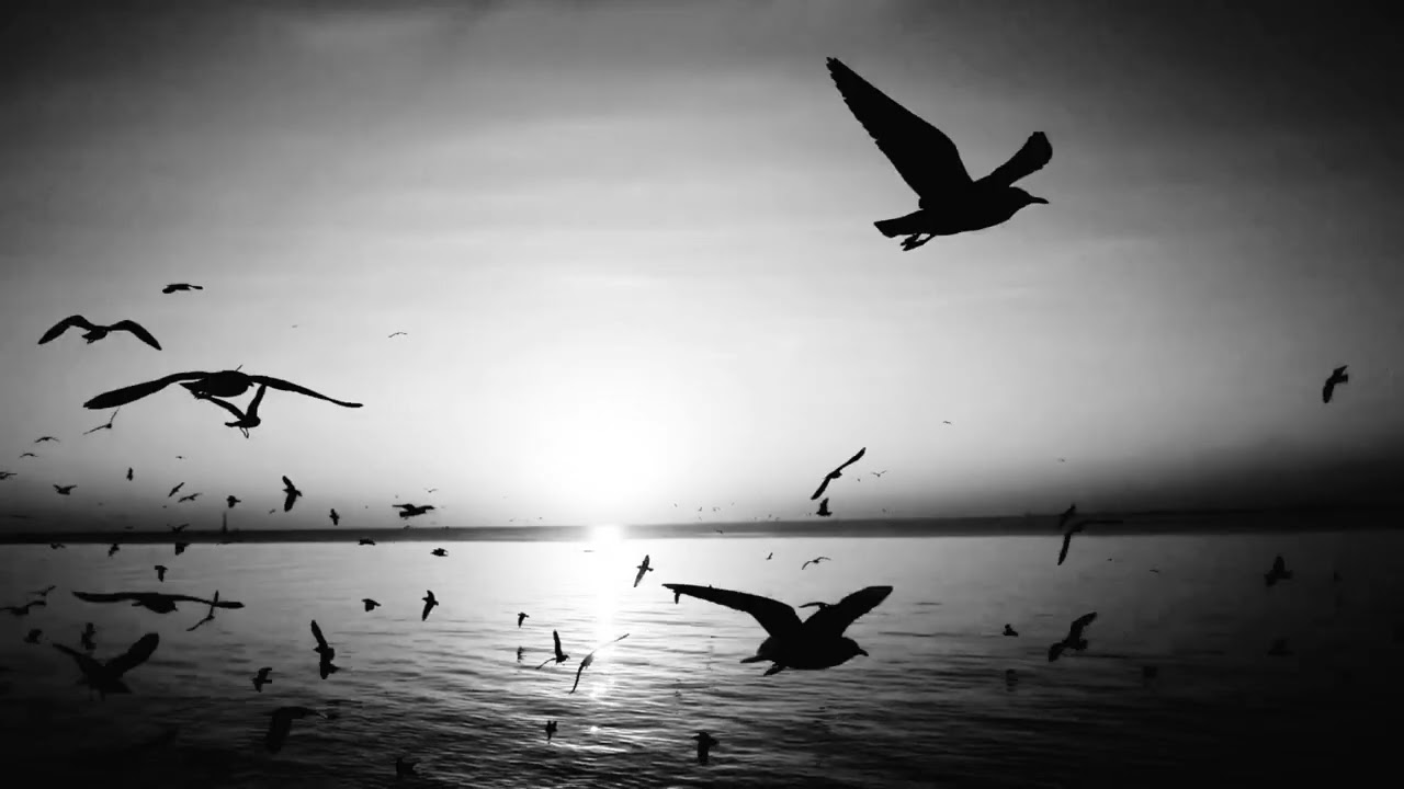 Manuel Ferrer - Los Archivos (Videoclip Oficial)