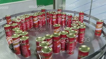 Canned Tomato Paste Processing Line/Tomato Processing Machine