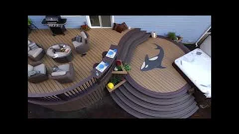 Whale Deck Drone Shot