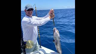 Come Check This Allien Looken Like Eel Out