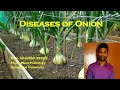Diseases of Onion | Spices &amp; Condiments | Plant Pathology | Exam Oriented Discussions