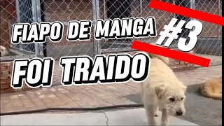 Fiapo De Manga Vs Lavrador Ep3 Narrando A Cena