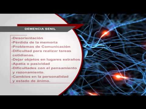 ¿Cómo identificar la