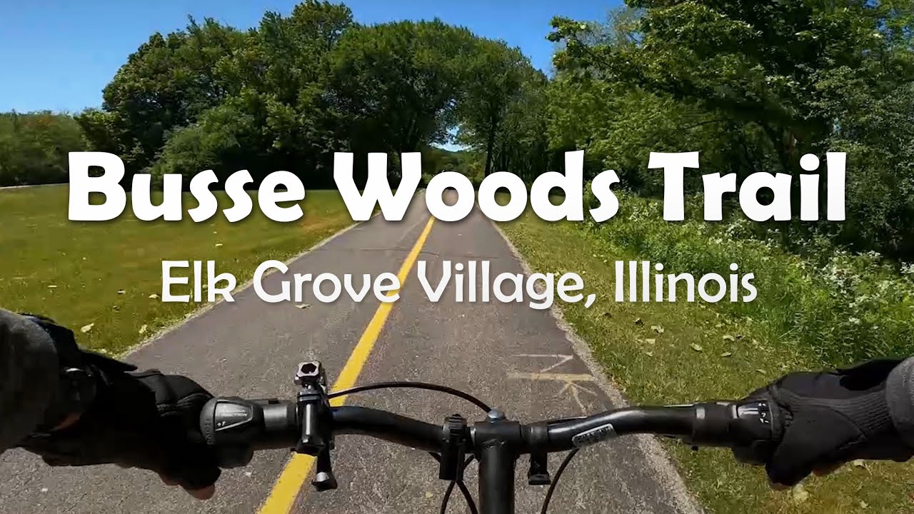 Busse Woods Trail Elk Grove Village, Illinois YouTube