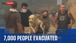 Download Lagu Wildfires trigger evacuations in Greece amid deadly heatwave across Southern Europe MP3 Download Lagu Wildfires trigger evacuations in Greece amid deadly heatwave across Southern Europe MP3