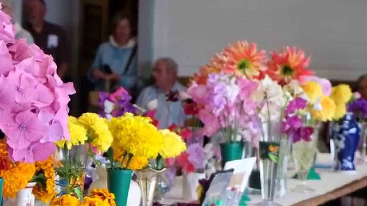 Pembrokeshire U3A Horticultural Show 2015