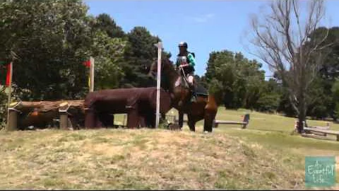 WENDY WHITING riding RIPLEY LODGE GATOR 259 CCI 1 ...