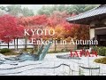 KYOTO, Enko-ji in Autumn  -JAPAN-      圓光寺の美しい紅葉