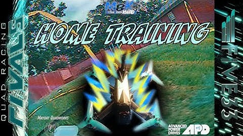 Home Training Pt. 1 (FlyFive33 Tiny Trainer)