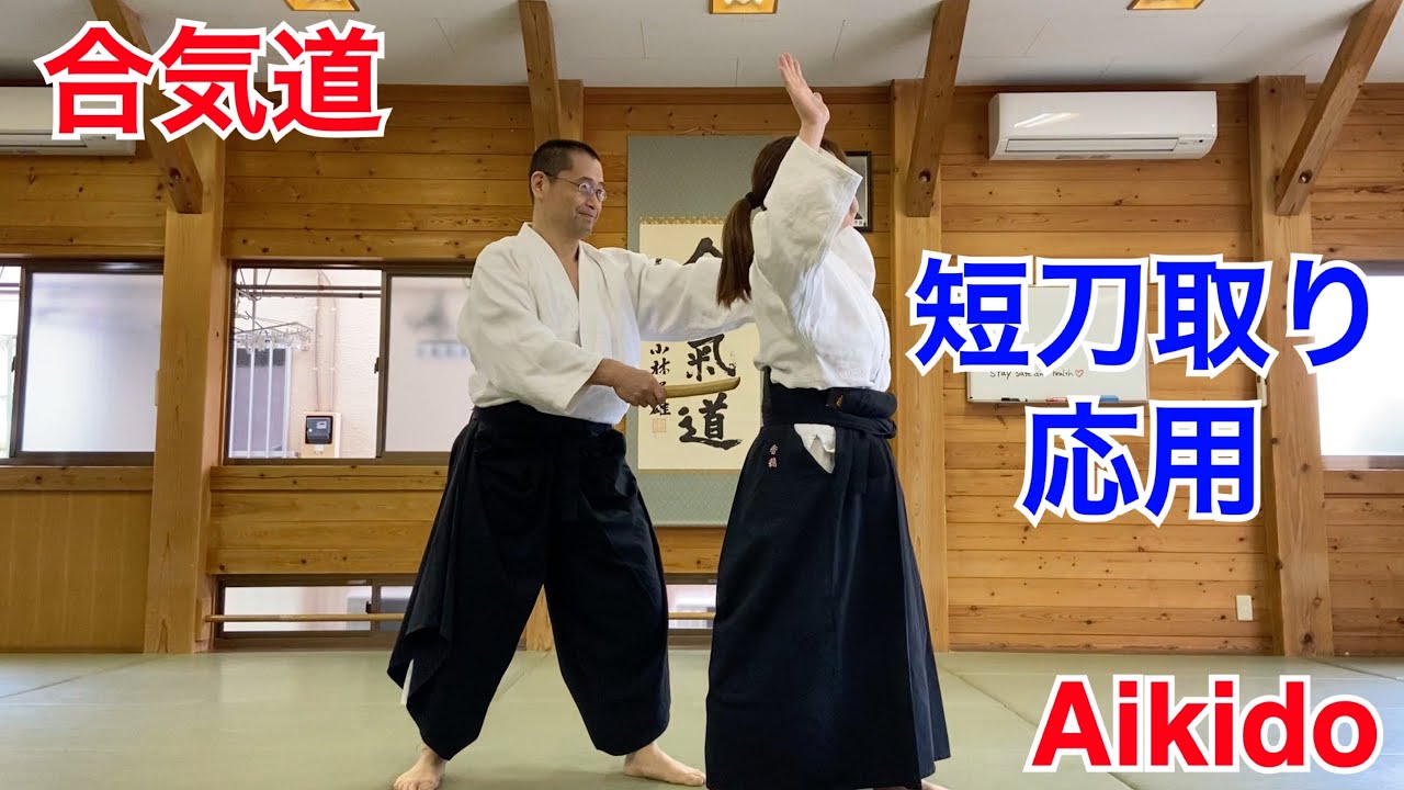 【Aikido】短刀取り応用 / Tanto-dori Advanced Technic