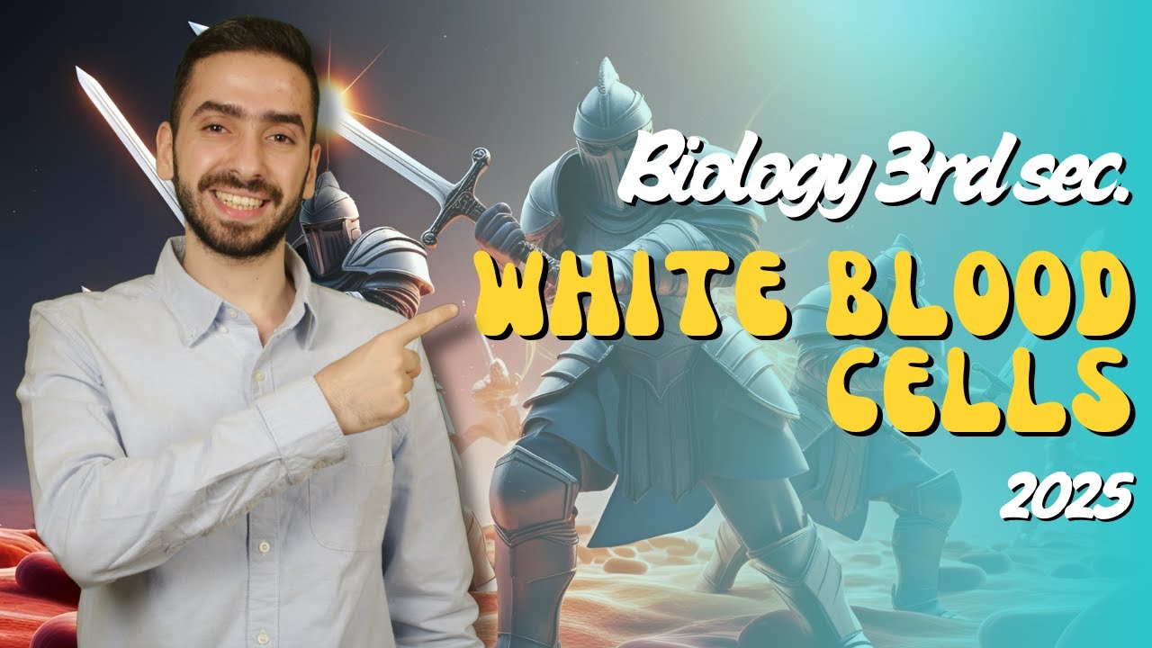 Biology 3rd secondary Egypt | Types of White Blood Cells | immunity in living organisms