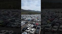 Auto Export Japan Youtube