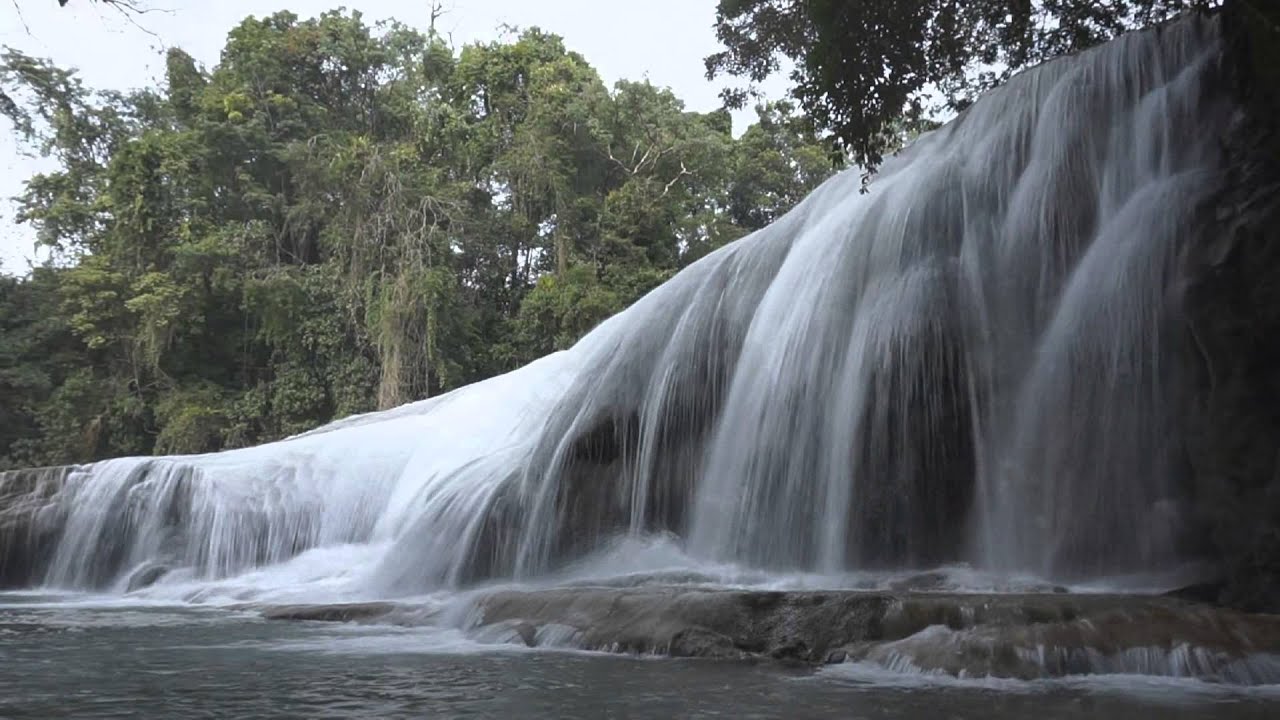 Por Los caminos de la medicina