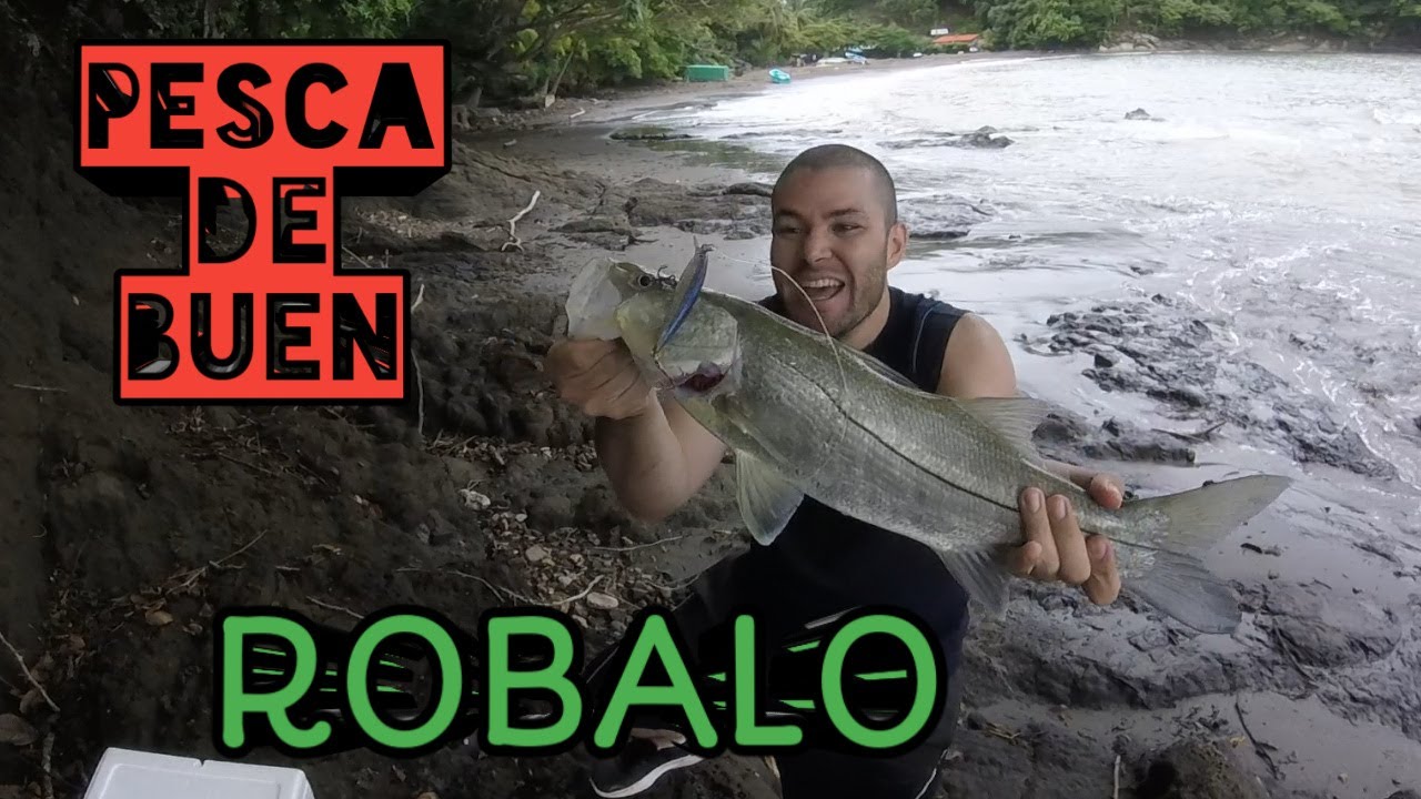Costa Rica Robalo Un Buen Róbalo en Playa Carrillo, Guanacaste, Costa Rica - YouTube