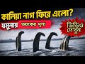 ‘কালিয়া নাগ’? যমুনা নদী ঘিরে ভাইরাল ভিডিওর নেপথ্যে আসল সত্য! #KaliaNag