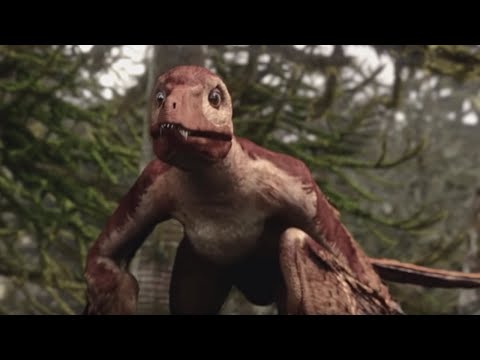 Microraptor | Flying Dinosaur | Planet Dinosaur | BBC