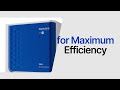 Meet Leo: Transform Your Protein Analysis with the Latest Simple Western System