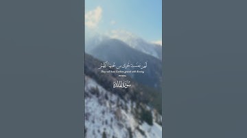 - قال الله هذا يوم ينفع الصادقين صدقهم - تلاوة عطرة للقارئ الشيخ ياسر الدوسري