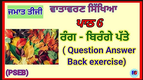 Class 3 | EVS | Lesson 6 | Question Answer | PSEB