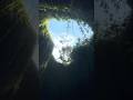 We made it to the moon pool #summer #mermaid #music #midnightsky #fypシ゚viral #makomermaids ￼