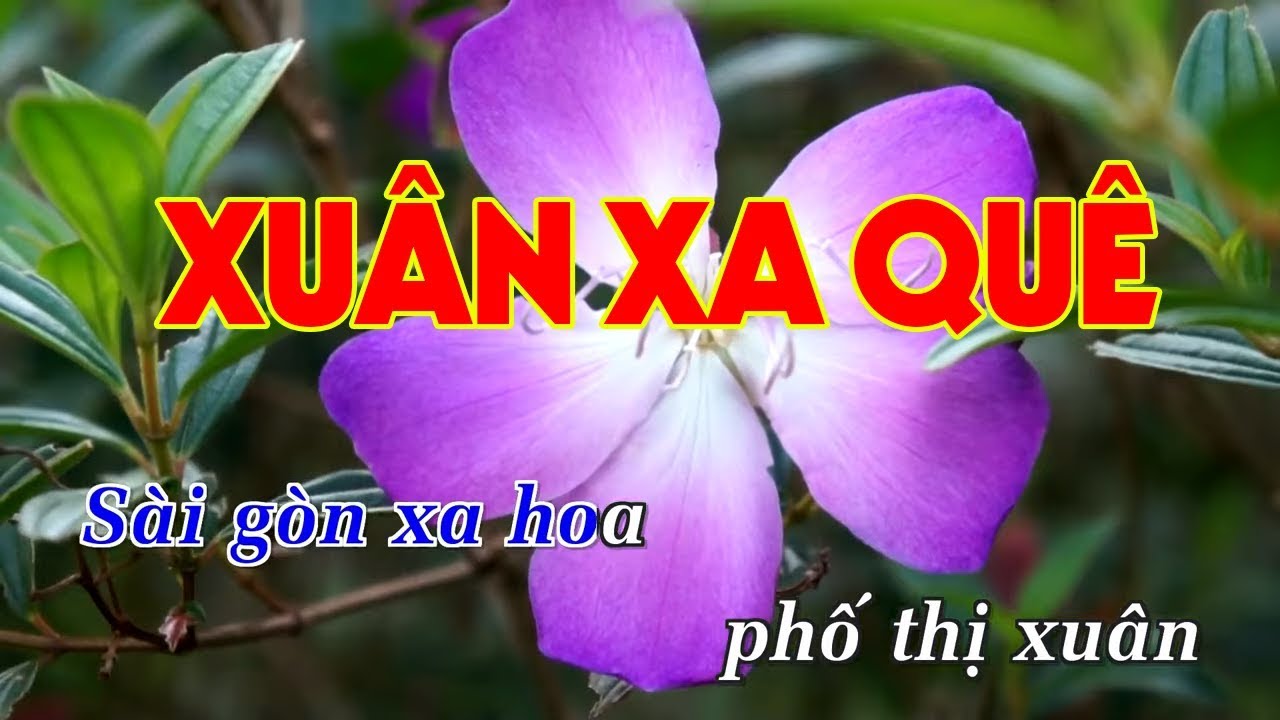 Mùa Xuân Xa Quê Karaoke Beat Chuẩn YouTube