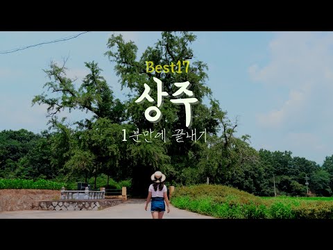 상주여행 BEST17 !  1분만에 끝내기 맥문동숲도 있어요 - 우수상 수상작