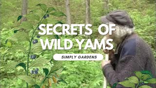 WILD YAMS: A Natural Approach to Women's Hormonal Harmony.