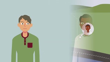 Prah v. Maretti Case Brief Summary | Law Case Explained