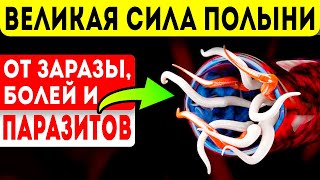 СВЯТАЯ ПОЛЫНЬ ГОНИТ паразитов и лечит суставы, экземы, ревматизм, жкт и даже Альцгеймера!