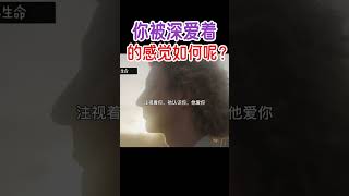 【你被深爱着的感觉如何呢】 #shorts #基督教 #圣经 #装备生命