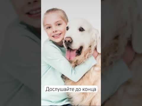 #dog #doglife #рекомендации #жизнь #love #животные #собака #любовь #live #верность #история #слова