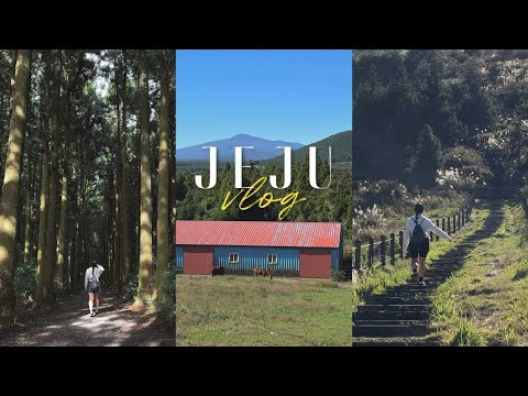 제주 여행 브이로그 ep. 2 | 가을엔 오름🌾| 서귀포 숙소 추천 | 개오름, 백약이오름, 이승악오름 | 구씨커피로스터스, 하라케케
