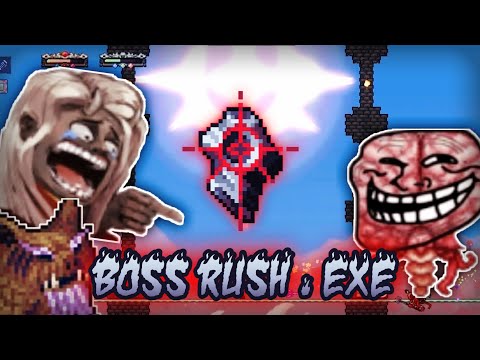 Terraria Calamity mod Boss rush no hit - BiliBili