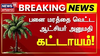 Breaking News பன மரதத வடட ஆடசயர அனமத கடடயம Palm Tree Tamilnadu Government