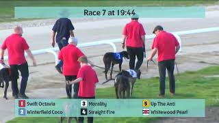 Monmore Greyhounds Races on 9th May 2024