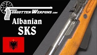 The Albanian SKS: A Few Different Details