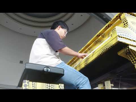 【ほのす】新宿都庁ピアノで『流れ弾/櫻坂46』弾いてきた！